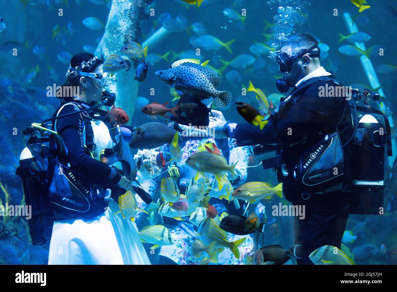 Lo sposo Chris Jackson si prepara a scambiare gli anelli di nozze con la sposa Lisa Huggins durante la loro cerimonia nuziale subacquea all'avventura di Grylls del Bear, Birmingham. I fan delle immersioni erano dovuti sposarsi all'estero ma i loro piani erano scupati durante Covid, e cercavano un'alternativa unica. Data foto: Mercoledì 8 settembre 2021. Foto Stock