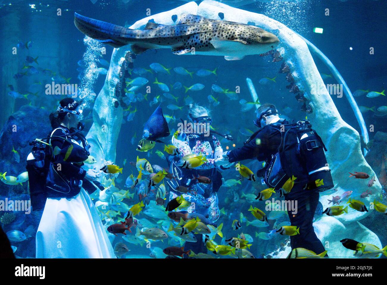 Lo sposo Chris Jackson si prepara a scambiare gli anelli di nozze con la sposa Lisa Huggins durante la loro cerimonia nuziale subacquea all'avventura di Grylls del Bear, Birmingham. I fan delle immersioni erano dovuti sposarsi all'estero ma i loro piani erano scupati durante Covid, e cercavano un'alternativa unica. Data foto: Mercoledì 8 settembre 2021. Foto Stock