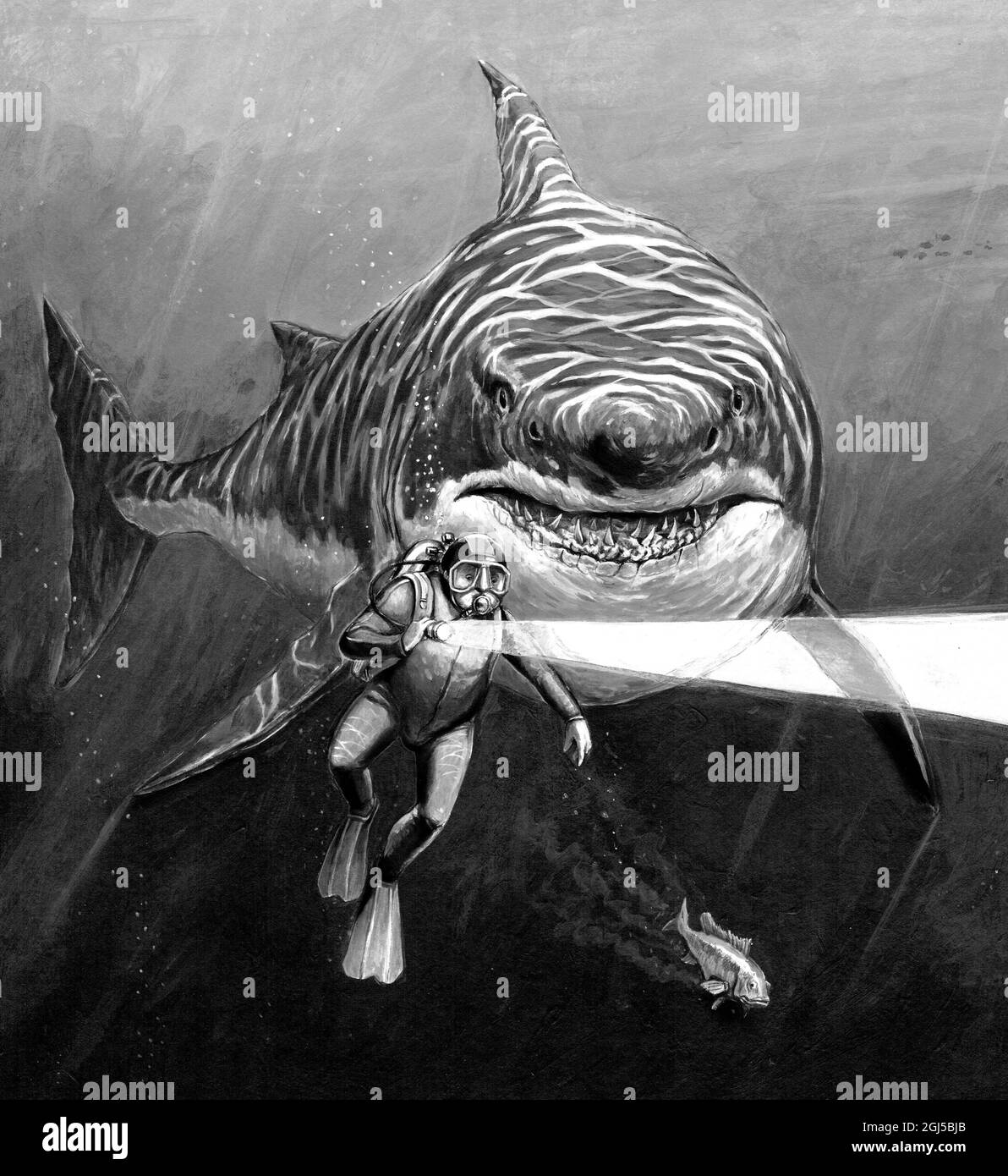 Attacco di squalo. Squalo gigantesco a caccia del subacqueo. Illustrazione. Foto Stock