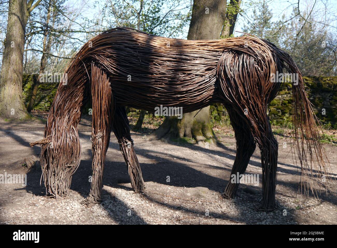 Willow Sculpture of Horse Feeding 'The Stalking Horse' di Anna e The Willow, Skipton Woods, Skipton, North Yorkshire, Inghilterra, UK. Foto Stock