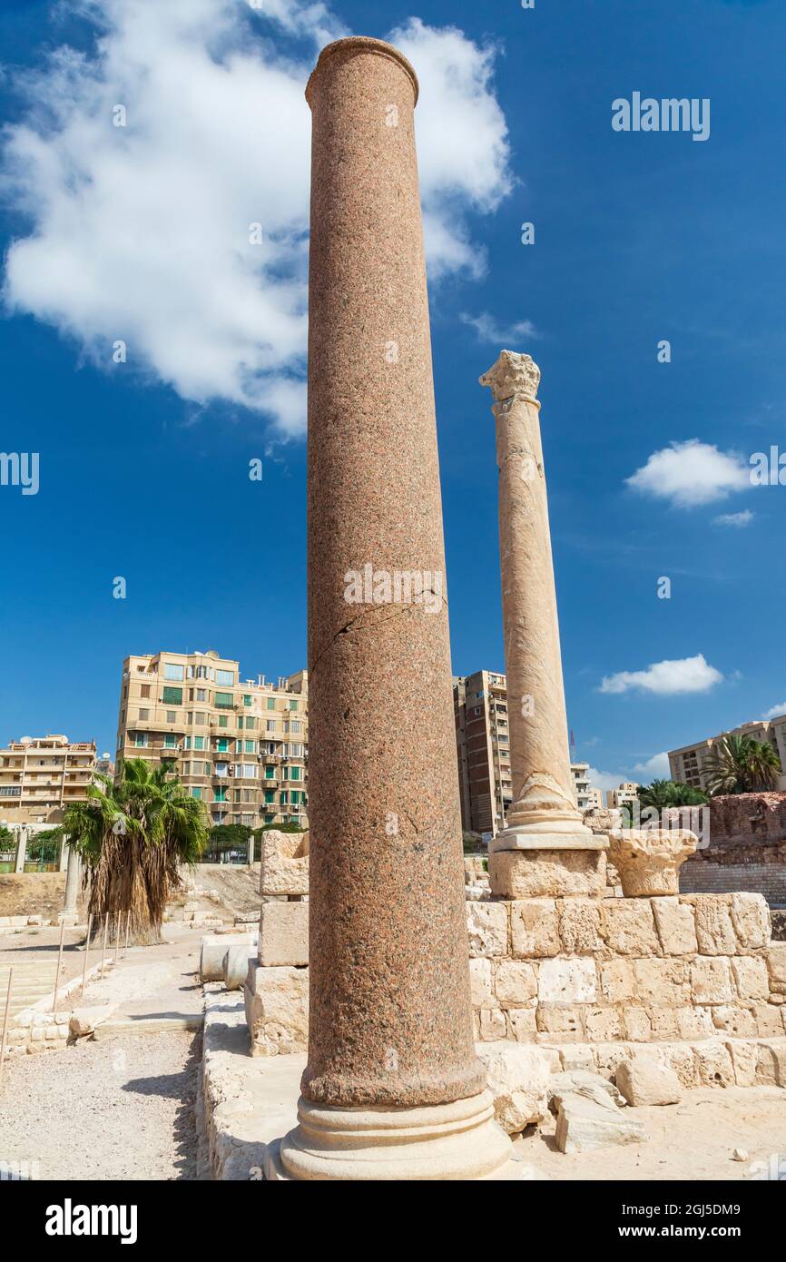 Africa, Egitto, Alessandria. Le colonne greche romane si trovano nei pressi delle terme sotterranee e delle arcate. Foto Stock