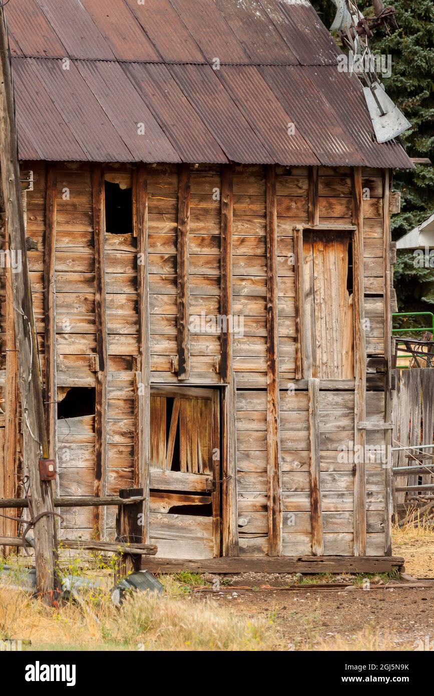 Lati in legno e tetto ondulato arrugginito di un vecchio fienile abbandonato. Foto Stock