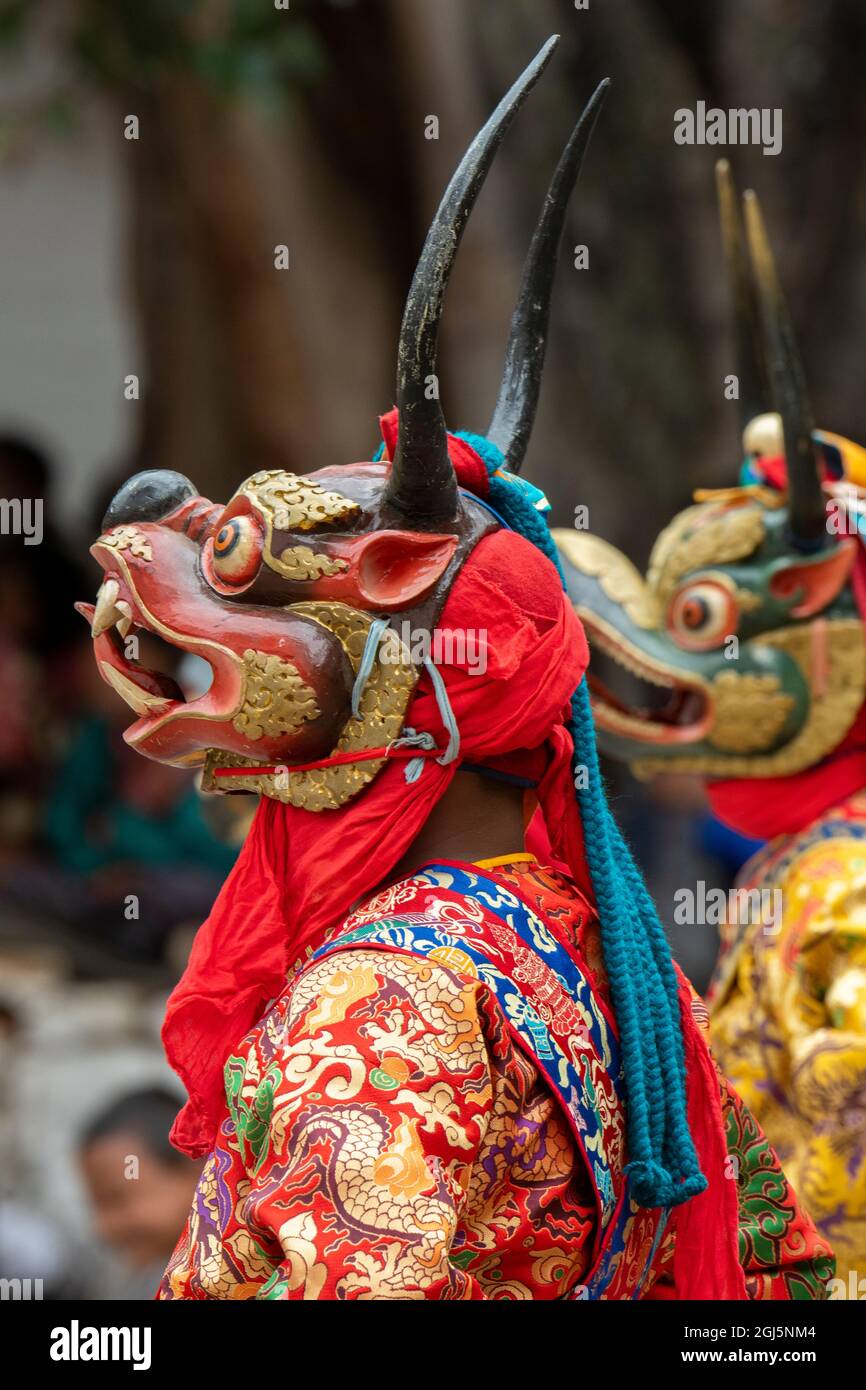 Bhutan, Punakha Dzong. Festival di Punakha Druchen, ballerini mascherati. Foto Stock