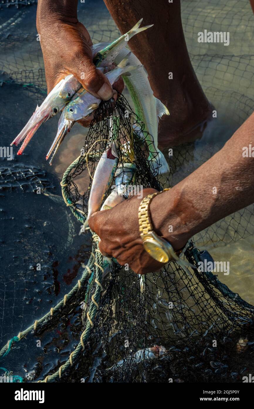 La pesca del giorno Foto Stock