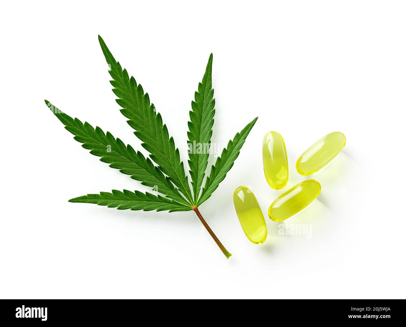 Foglie verdi fresche di erbe di cannabis sativa e poche capsule di olio cbd isolate su sfondo bianco. Marijuana medica foglie di canapa e olio. Macro. Foto Stock