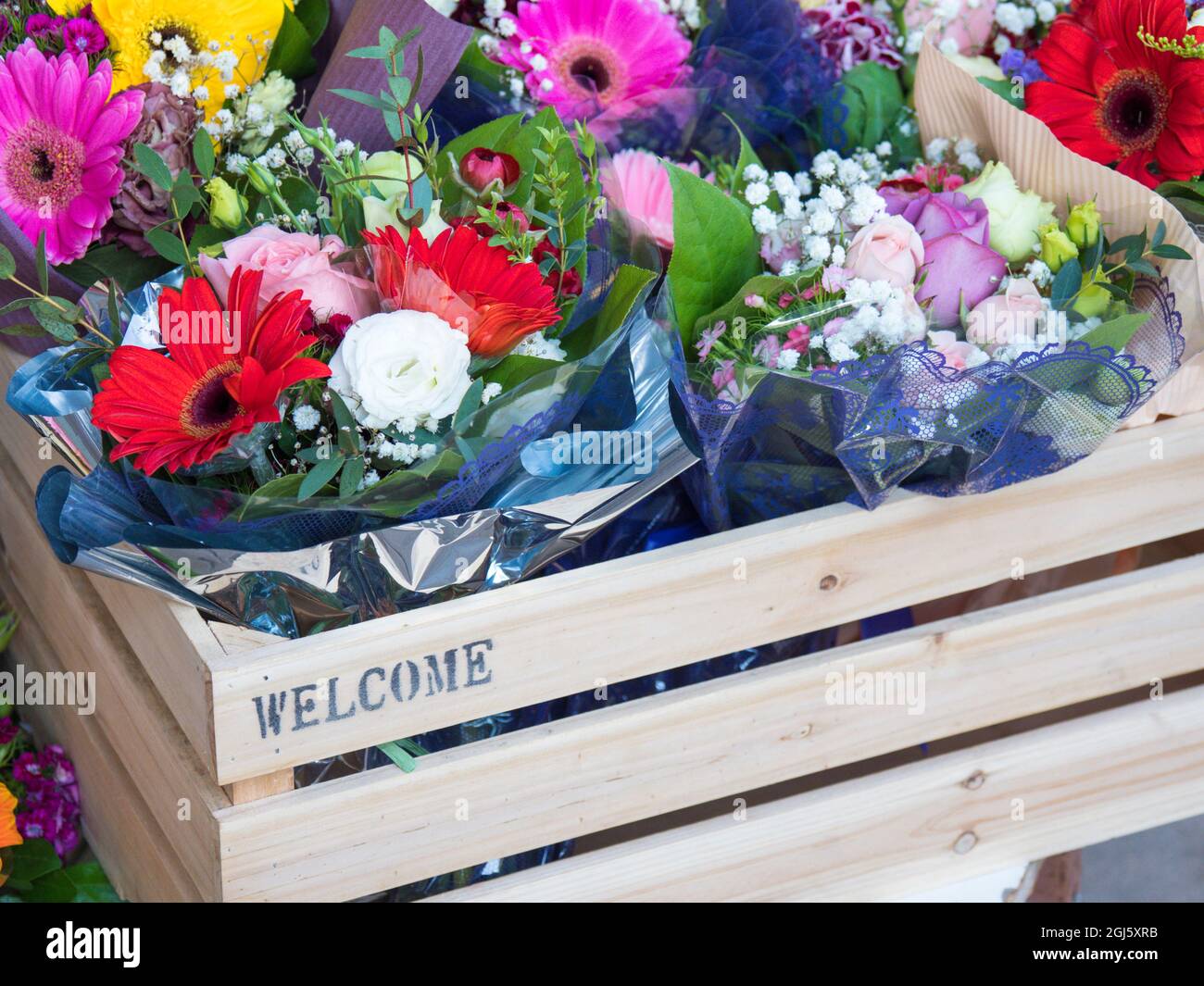 Cina, Hong Kong. Mercato dei fiori sulla strada. Foto Stock