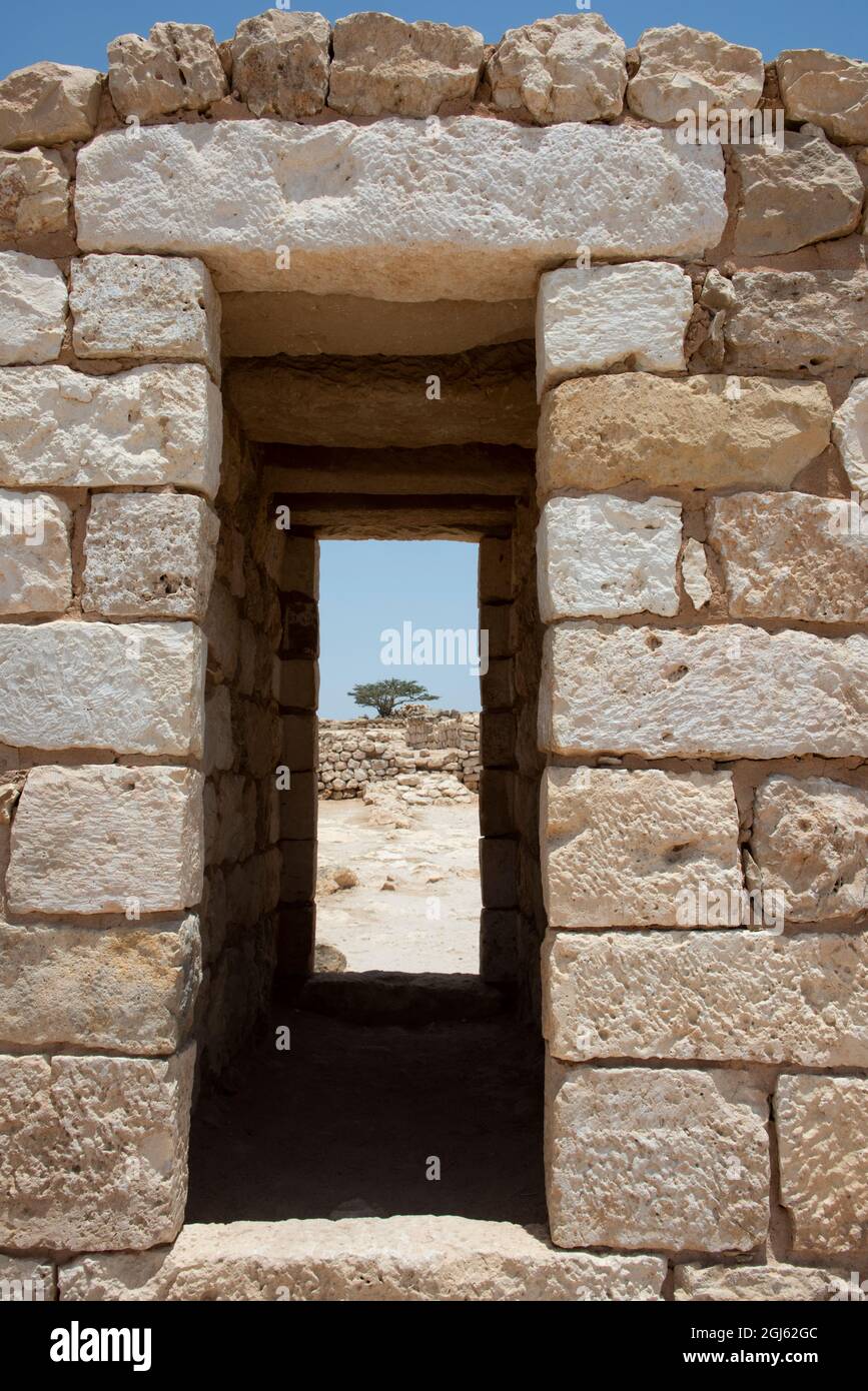 Oman, Dhofar, vicino a Salalah, Khor Rori. Rovine dell antico insediamento di Sumhuram, incenso albero nella porta. Incenso Trail, UNESCO. Foto Stock