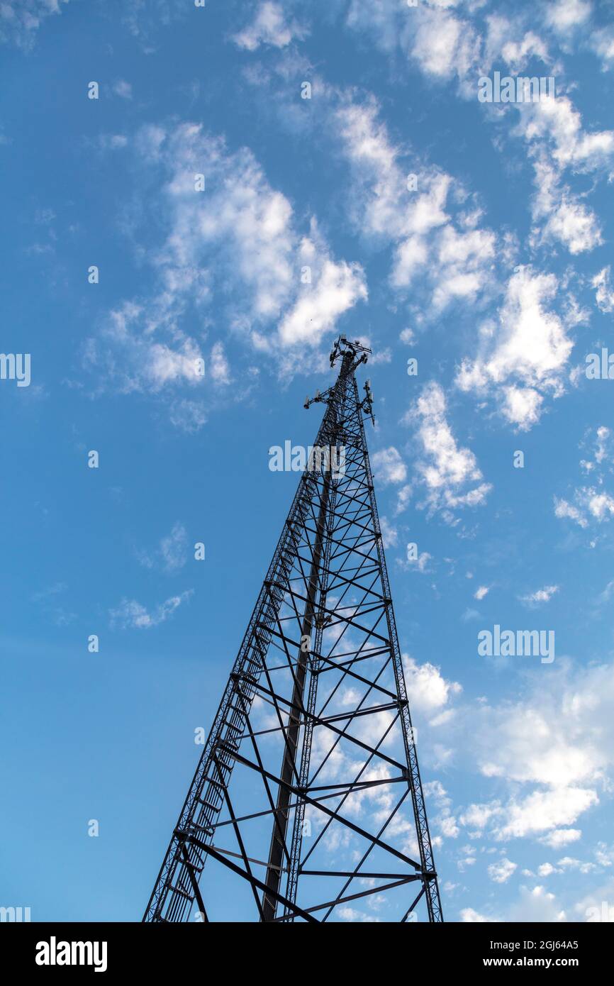 Torre di trasmissione cellulare o wireless, USA, di James D Coppinger/Dembinsky Photo Assoc Foto Stock