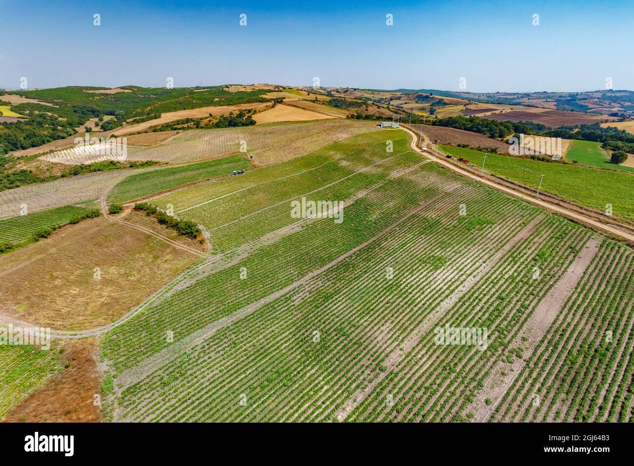 Azienda agricola biologica. Regione di Marmara, Turchia. Foto Stock