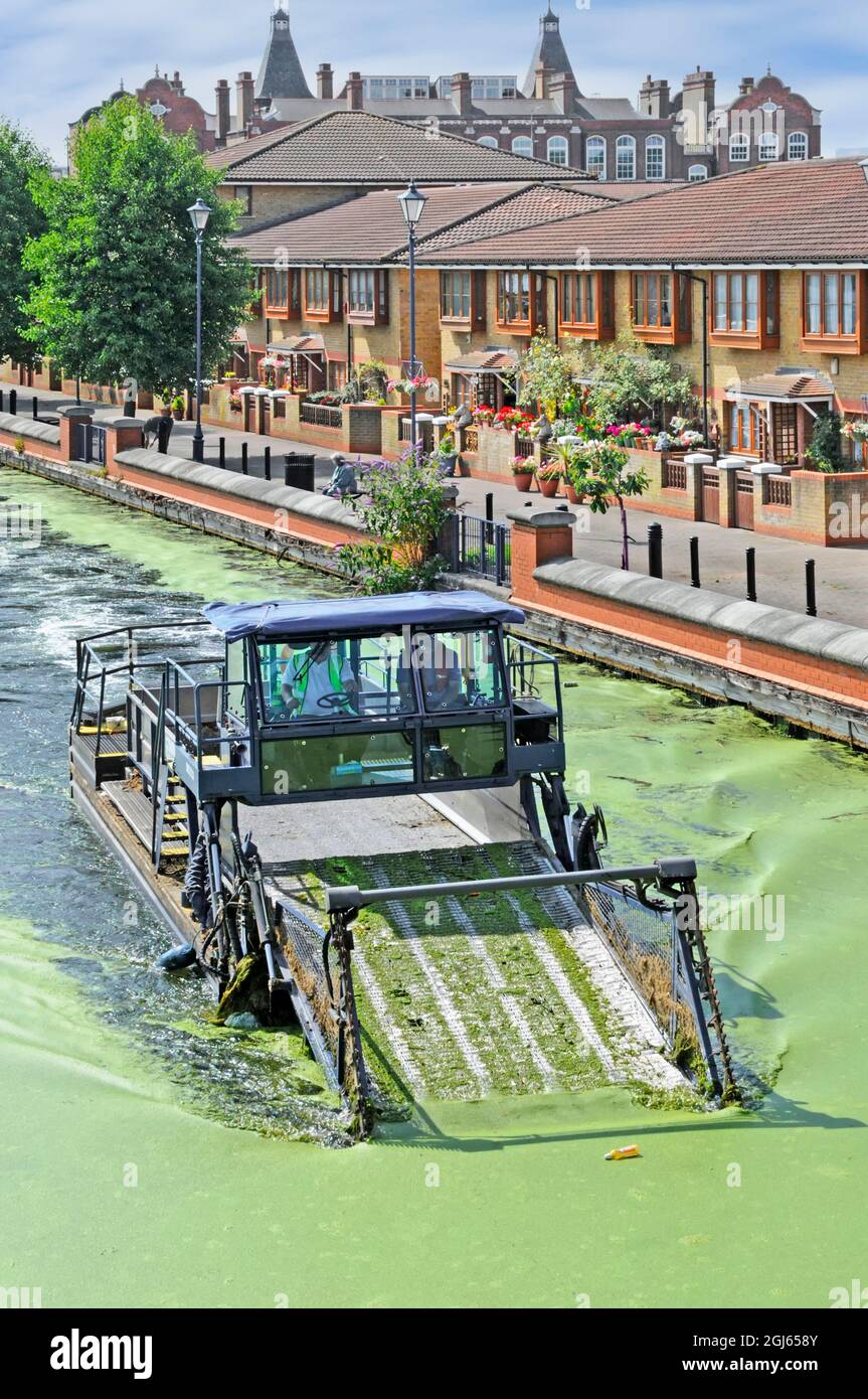 "The Lee Mean Alga Clean Machine" di proprietà dei corsi d'acqua britannici al lavoro su Lee Navigation raccogliere verde caldo albale fiore estate Hackney Londra UK Foto Stock