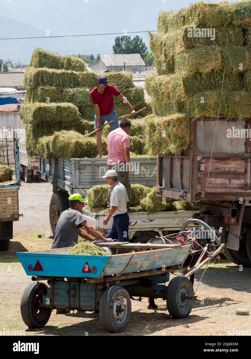 Vendita e carico di fieno. Il mercato del bestiame a Tokmok, una città ai piedi del Tien Shan vicino a Bishkek, Kirghizistan. (Solo per uso editoriale) Foto Stock