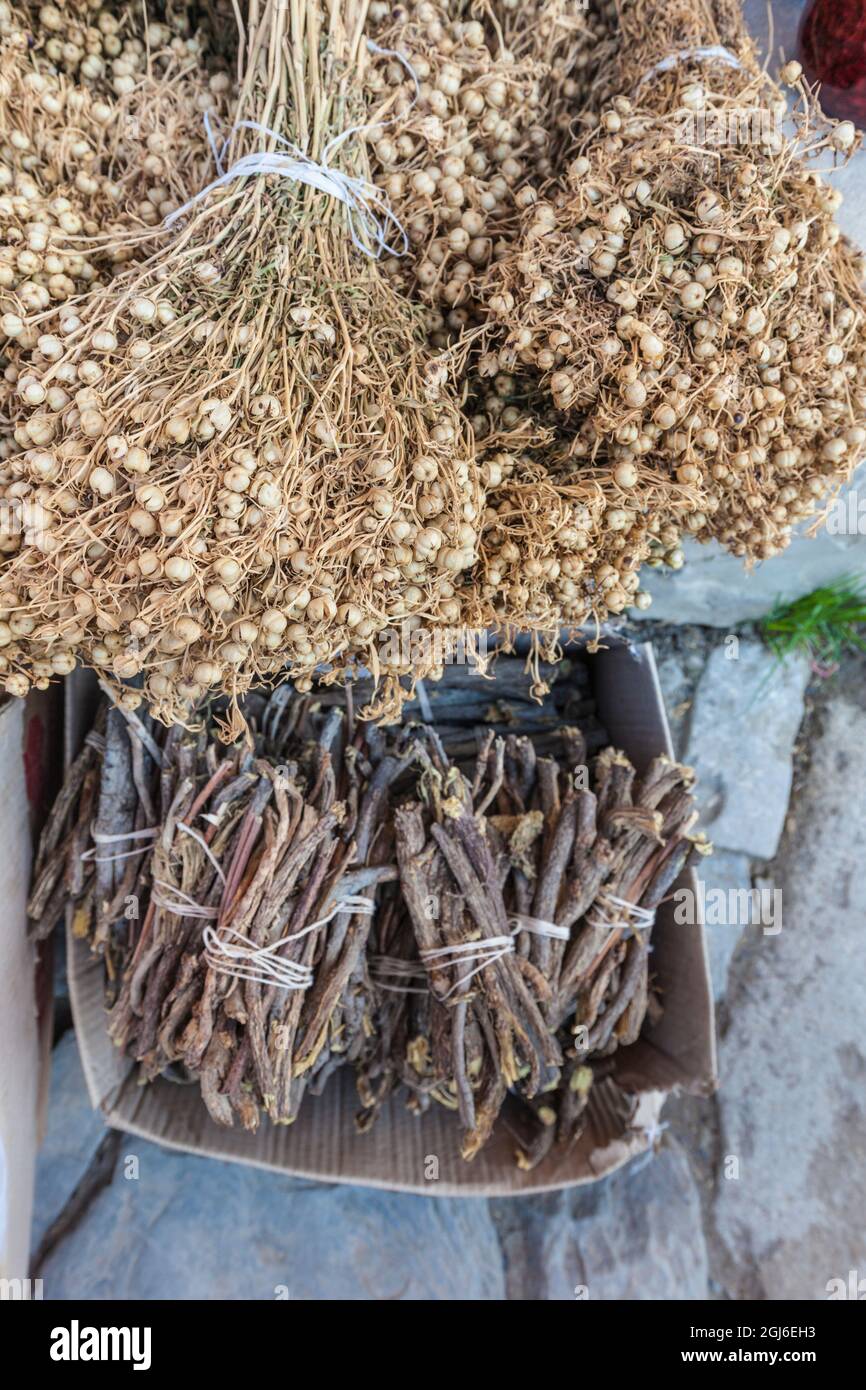 Azerbaigian, Lahic. Fiori secchi Foto Stock