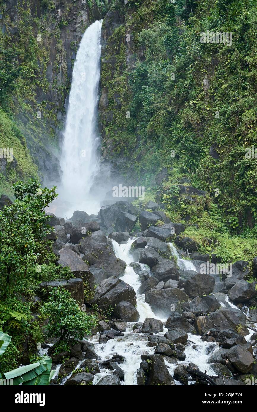 Caraibi, Indie Occidentali, Isola Dominica. Una delle attrazioni naturali più popolari di Dominica. Il lato sinistro cade (mostrato) scende di 125 piedi e il lato destro cade Foto Stock