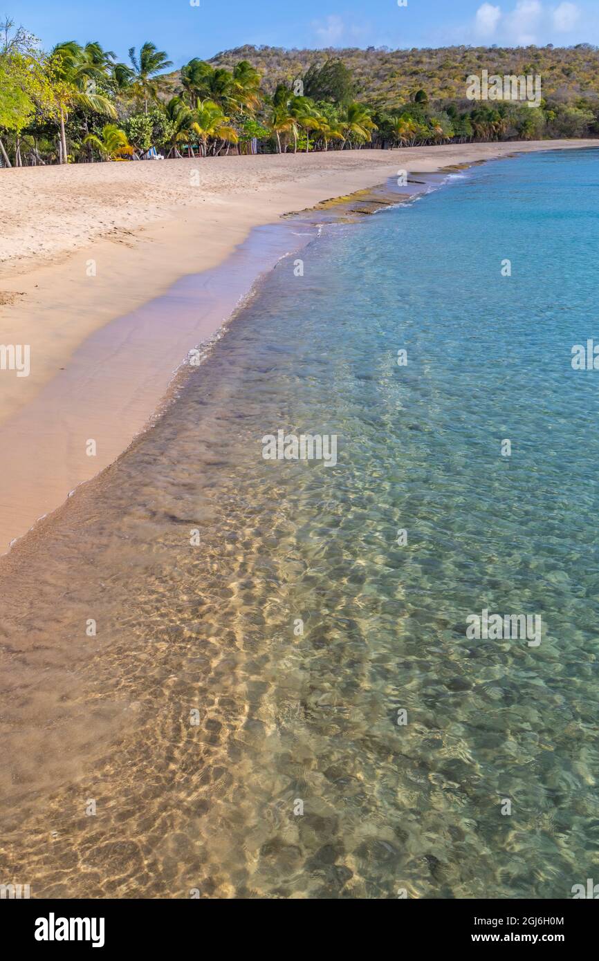 Caraibi, Grenada, isola Mayreau. Spiaggia tropicale. Credit as: Don Paulson / Galleria Jaynes / DanitaDelimont.com Foto Stock