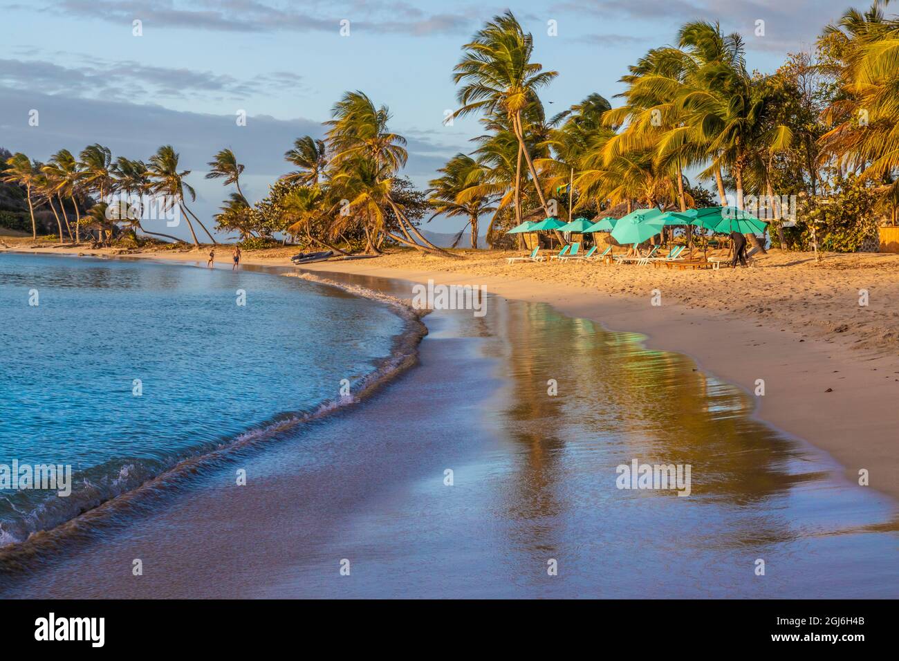 Caraibi, Grenada, isola Mayreau. Ombrelloni e sdraio. Credit as: Don Paulson / Galleria Jaynes / DanitaDelimont. com Foto Stock