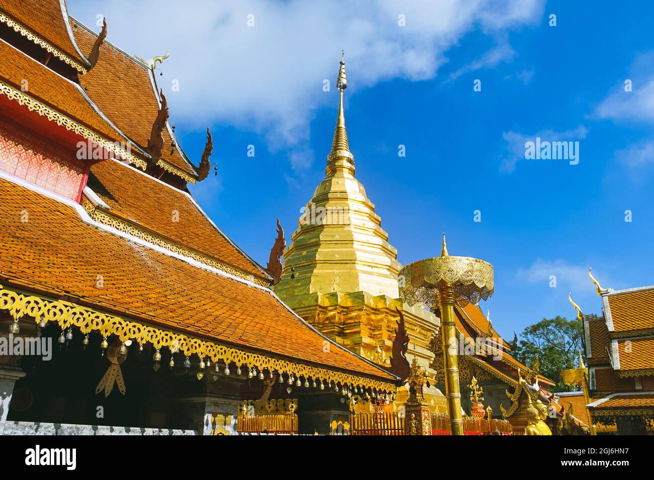 La famosa pagoda Phra che Doi Suthep nella provincia di Chiang mai, Thailandia. Foto Stock