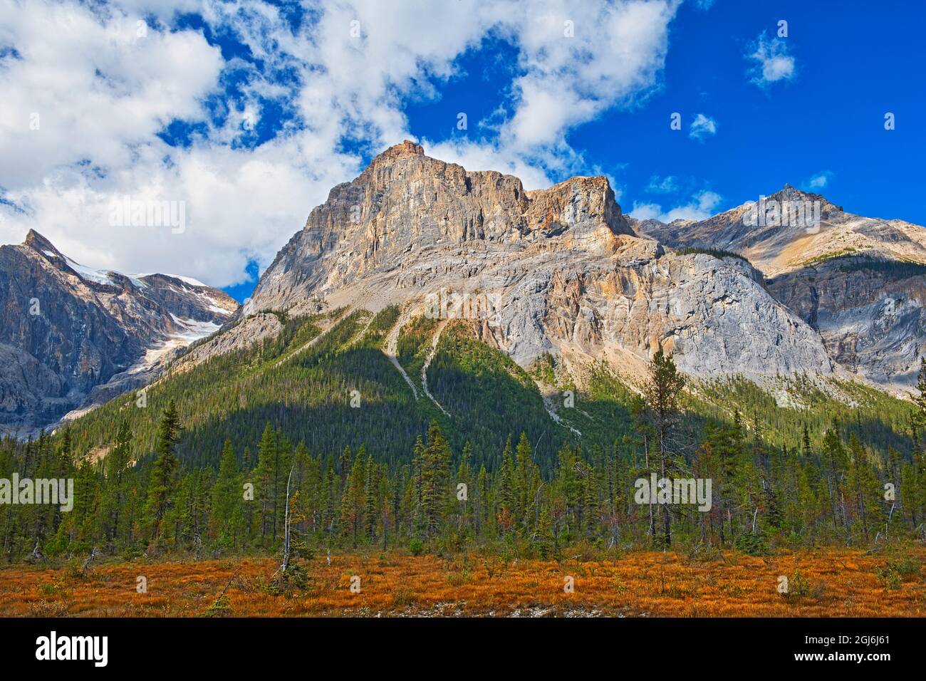Canada, Alberta, Parco Nazionale di Yoho. Il paesaggio montano del President Range. Credit as: Mike Grandmaison / Galleria Jaynes / DanitaDelimont.com Foto Stock