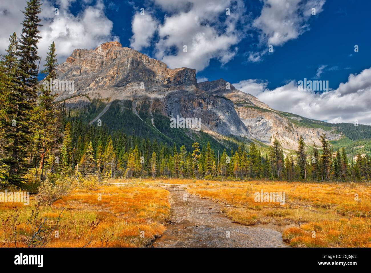 Canada, Alberta, Parco Nazionale di Yoho. Il President Range montagna e paesaggio acquatico. Credit as: Mike Grandmaison / Jaynes Gallery / DanitaDelimont.c Foto Stock