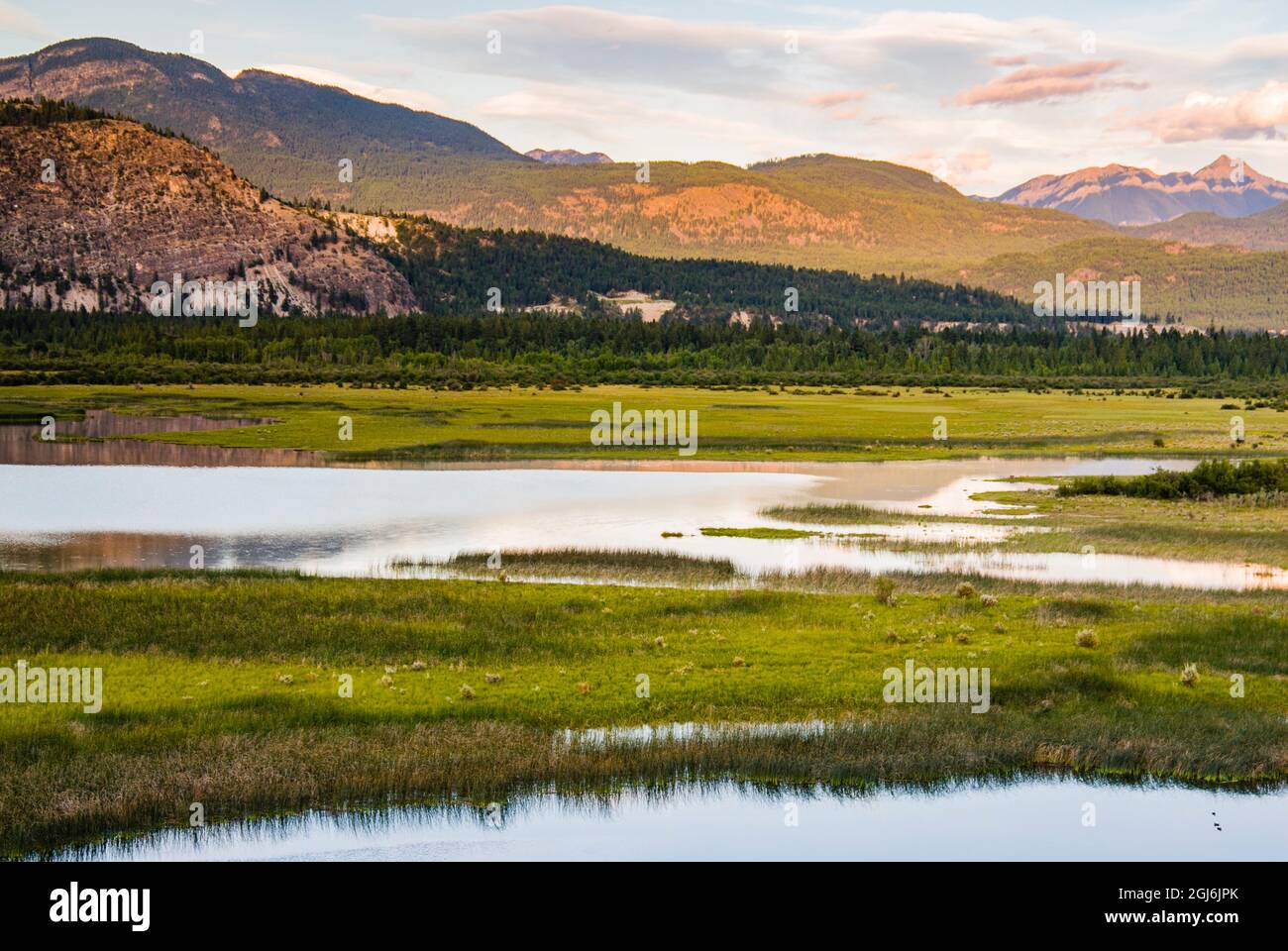 Canada, British Columbia. Zone umide all'estremità meridionale del lago Columbia, fonte del fiume Columbia. Foto Stock