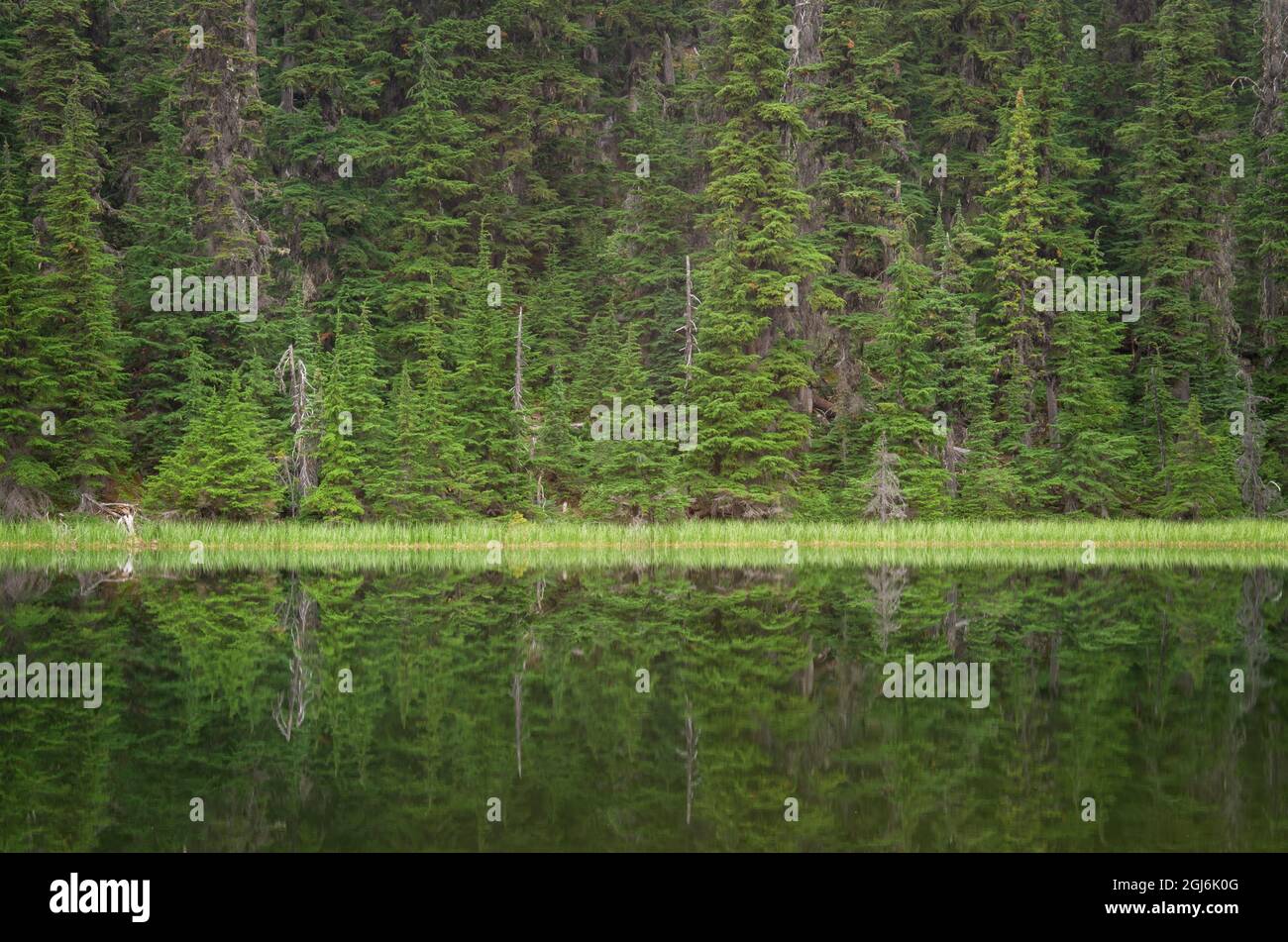 Lago Marion sul monte Abbott. Selkirk Mountains, Glacier National Park, British Columbia Foto Stock