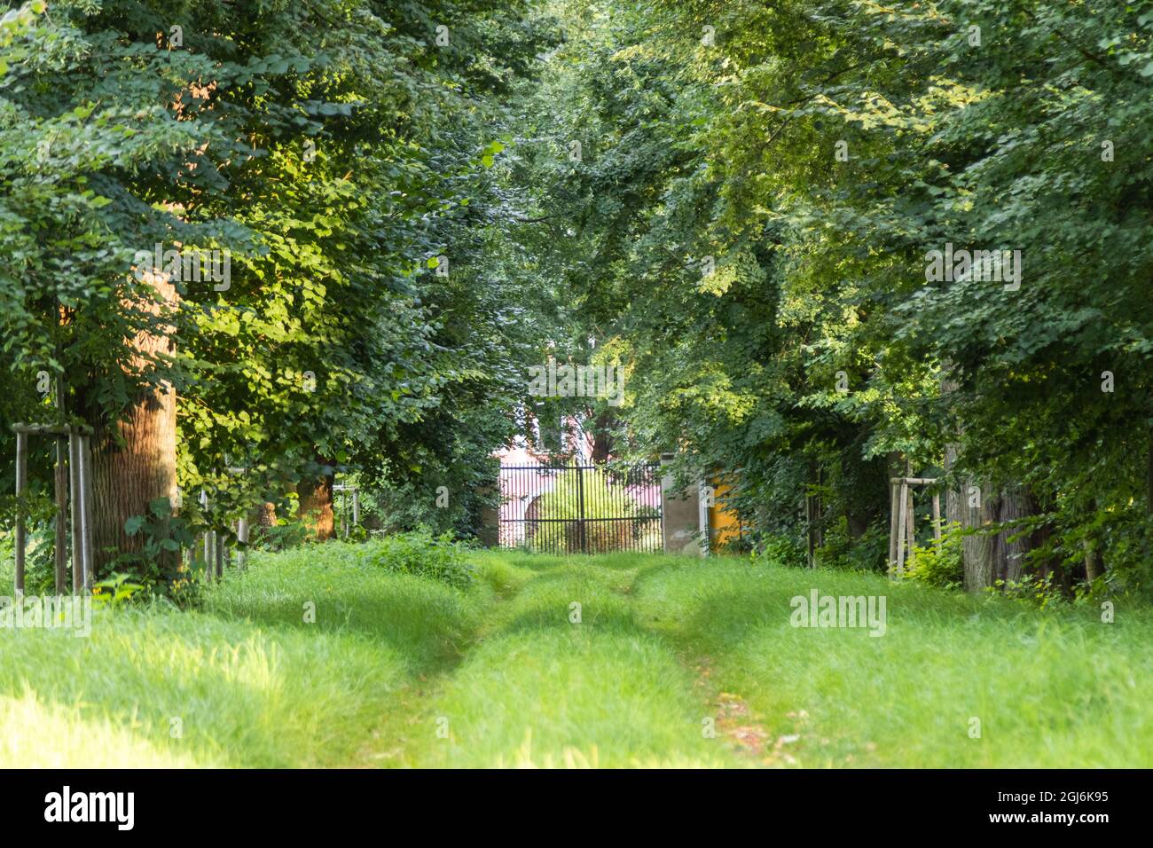 strada di passaggio per la tenuta fiancheggiata da alberi con cancello e edificio in background Foto Stock