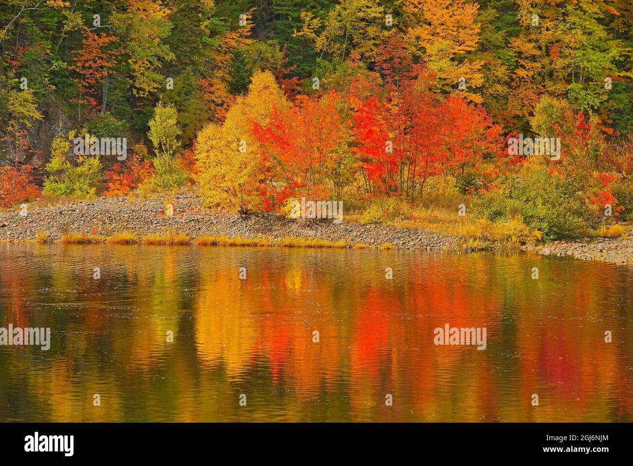 Canada, Nuova Scozia. Indian Brook e foresta in autunno. Credit as: Mike Grandmaison / Jaynes Gallery / DanitaDelimont. com Foto Stock