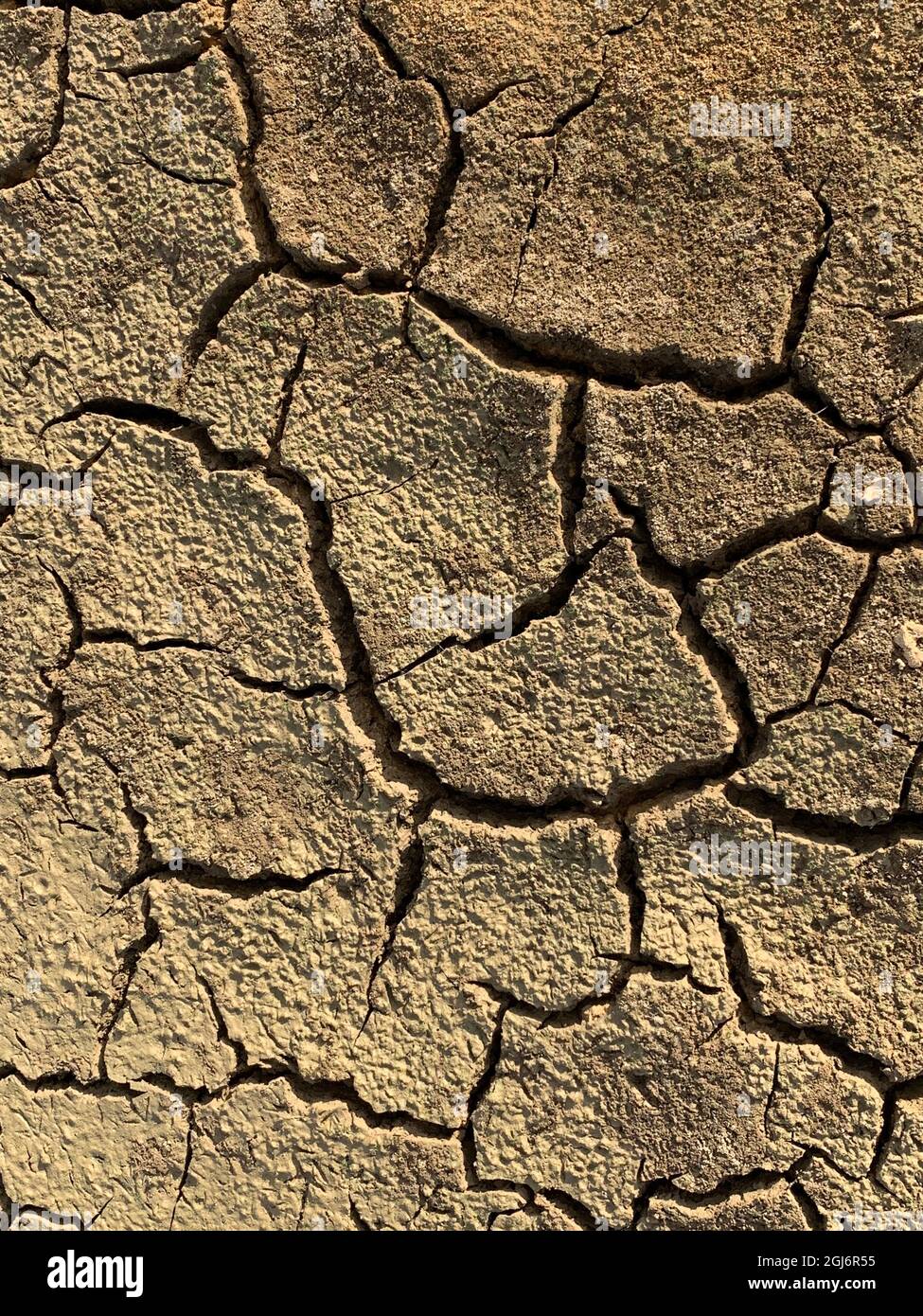 Il fango incrinato del fondo asciutto del serbatoio in estate Foto Stock