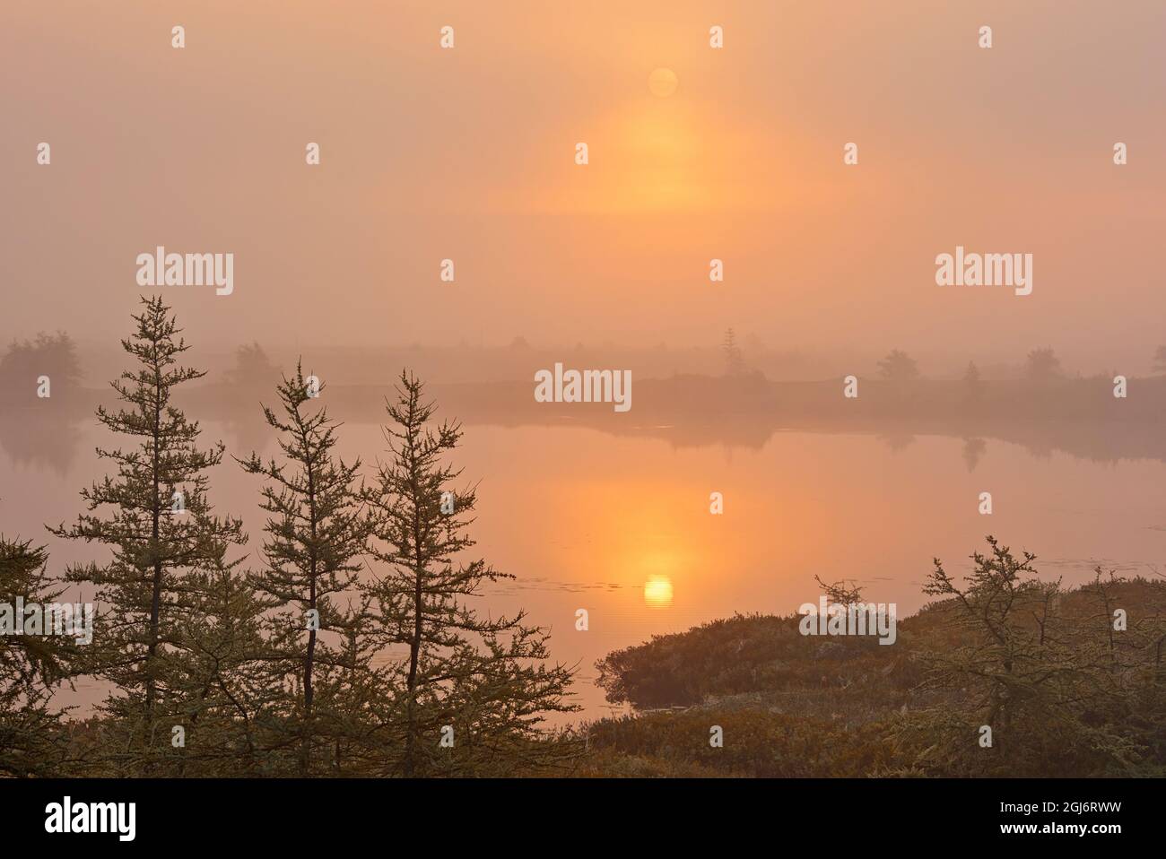 Canada, Quebec, Havre-Saint-Pierre. Alba nebbia sopra la zona umida. Credit as: Mike Grandmaison / Jaynes Gallery / DanitaDelimont. com Foto Stock