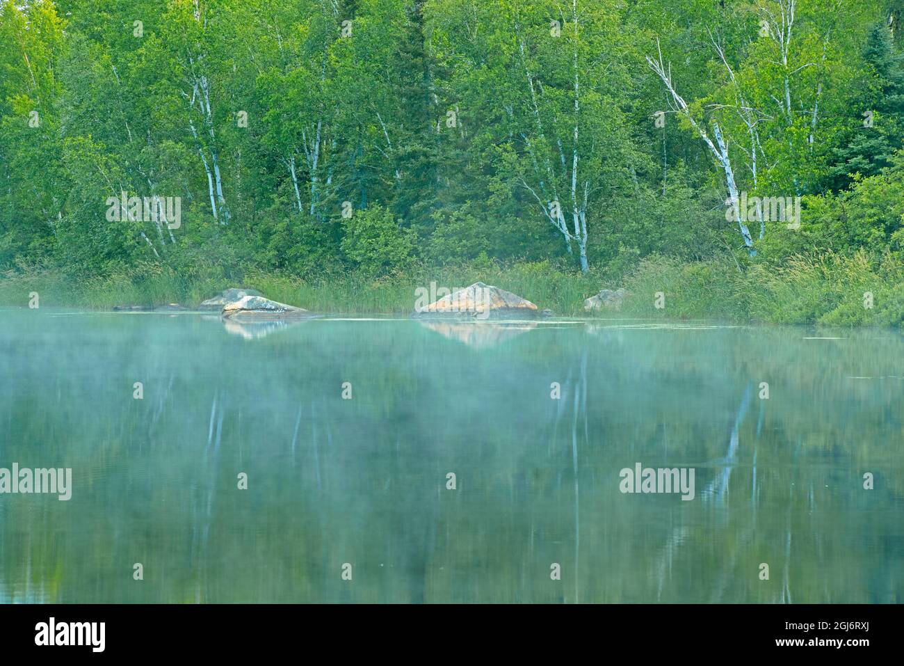 Canada, Quebec, Latulipe. Nebbia su Riviere Fraser. Credit as: Mike Grandmaison / Jaynes Gallery / DanitaDelimont. com Foto Stock