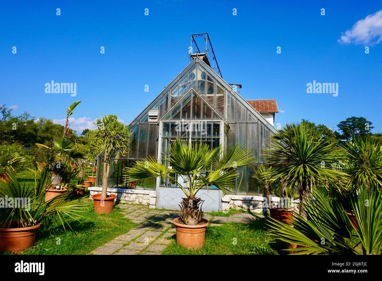 Giardino pubblico con serra nel parco pubblico di Tivoli a Lubiana, Slovenia, con palme in primo piano Foto Stock