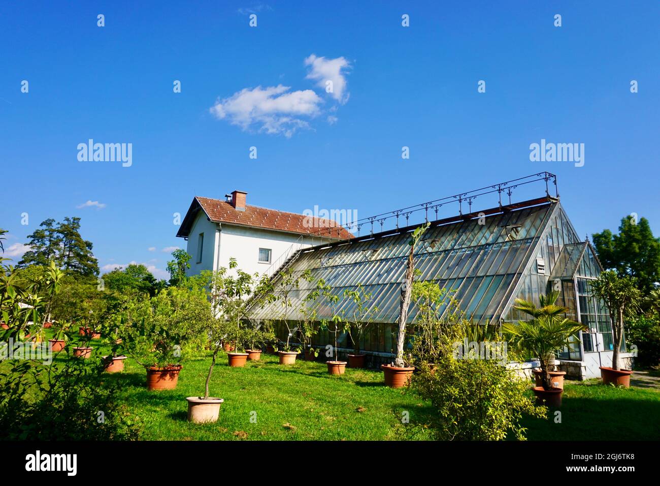 Giardino pubblico con serra nel parco pubblico di Tivoli a Lubiana, Slovenia, con palme in primo piano Foto Stock