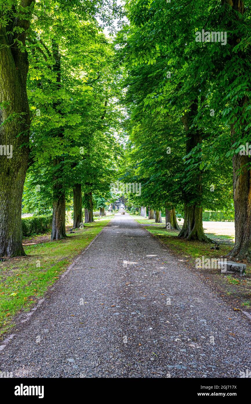 Sentiero dritto di piccole pietre che spariscono sullo sfondo, tra alberi enormi con fogliame verde e erba sparsa in una giornata di sole, profondo perspectiv Foto Stock