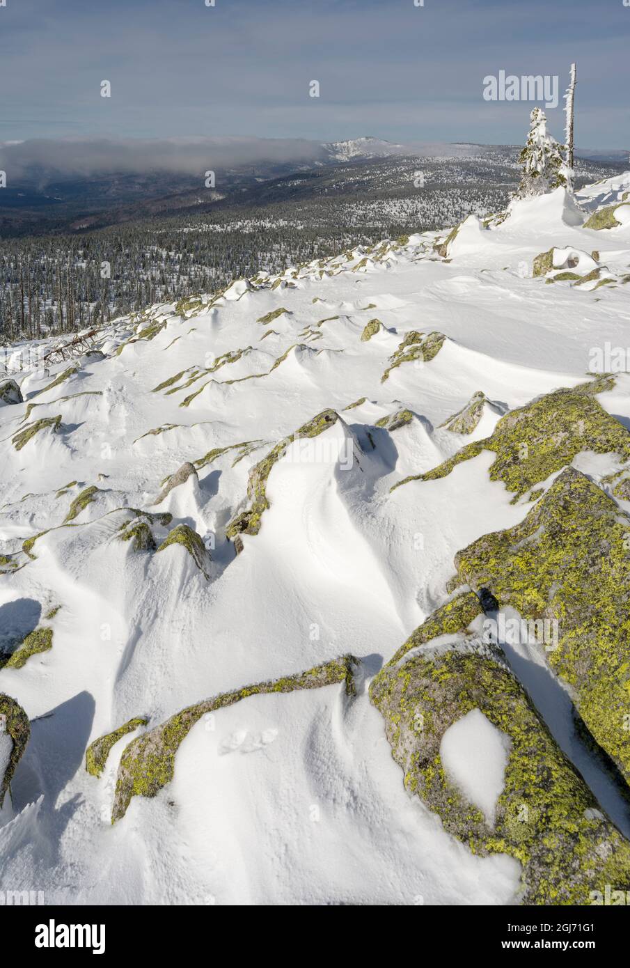 Vista dalla cima del Monte Lusen. Inverno al Monte Lusen nel Parco Nazionale della Foresta Bavarese (Bayerischer Wald). Europa centrale, Germania, Baviera. Foto Stock