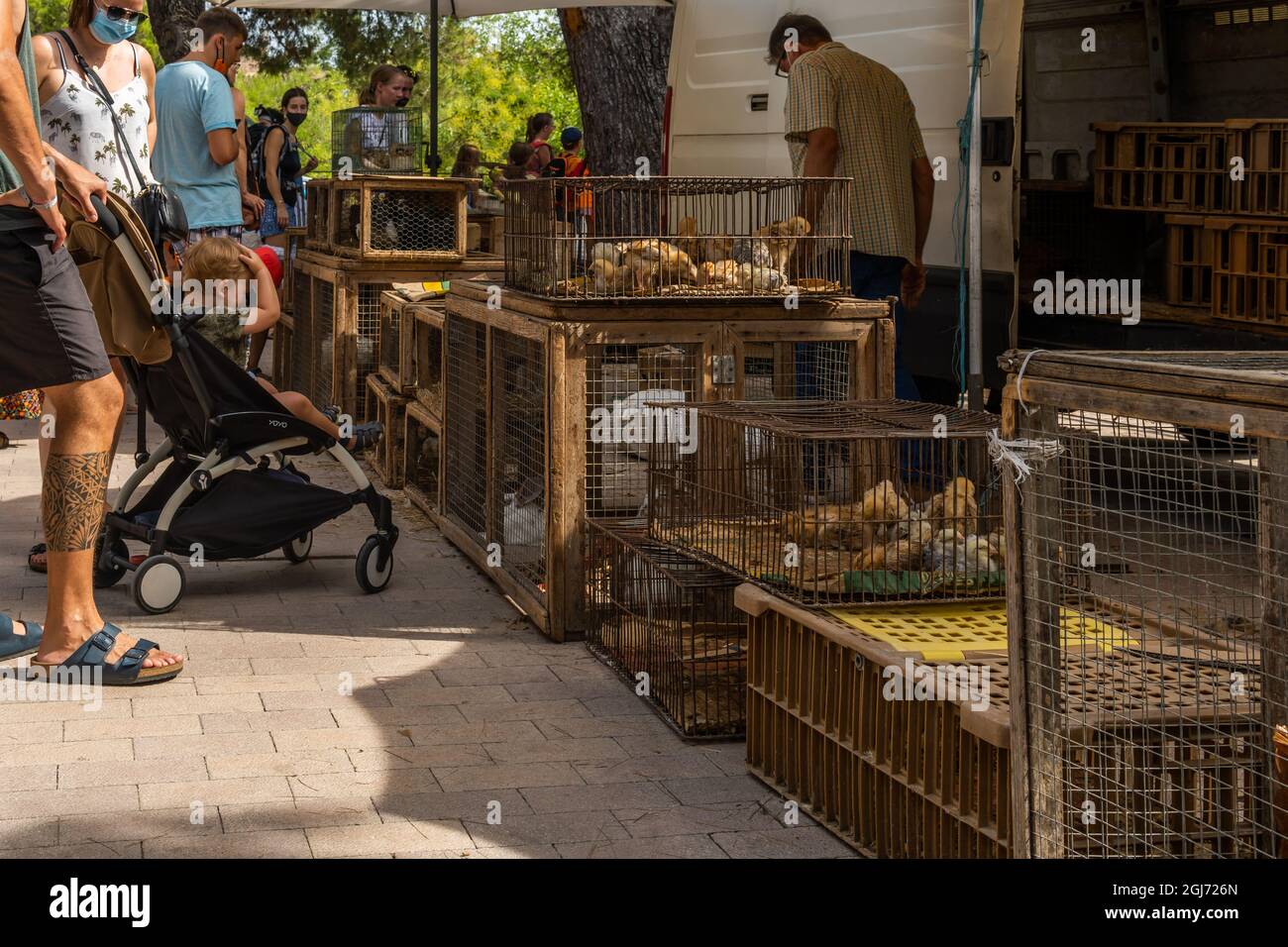 Sineu, Spagna; settembre 08 2021: Mercato settimanale di cibo, artigianato e animali nella città di Mallorcan di Sineu nel periodo post-coronavirus. Stallo Foto Stock