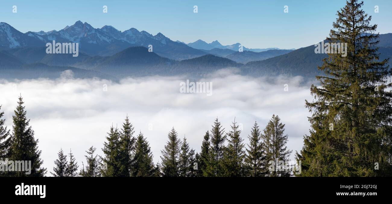 Vista dal Monte Hoernle su un mare di nebbia che nasconde la valle del fiume Ammer verso Fuessen. alpi Bavaresi nei pressi di Unterammergau, nel Werdenfelser Land Foto Stock