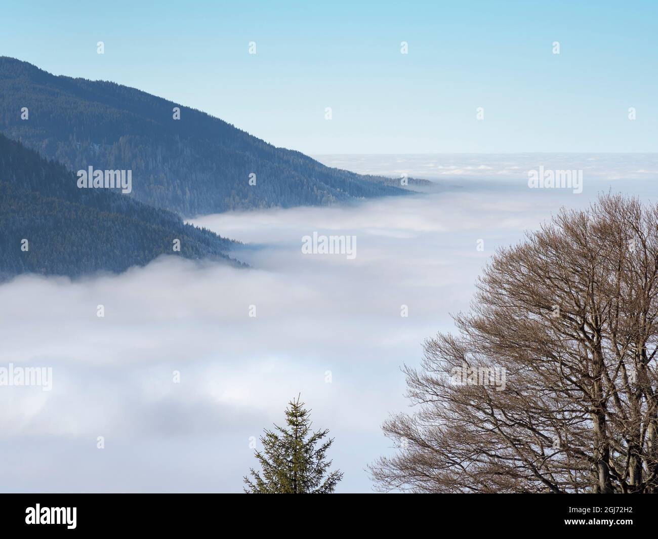 Vista dal Monte Hoernle su un mare di nebbia che nasconde i piedi delle Alpi Bavaresi. alpi Bavaresi nei pressi di Unterammergau nel Werdenfelser Land (Werden Foto Stock