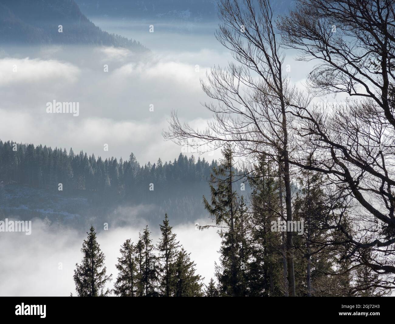 Mare di nebbia sulla valle del fiume Ammer. alpi bavaresi nei pressi di Unterammergau nel Werdenfelser Land (contea di Werdenfels). Europa, Germania, Baviera Foto Stock