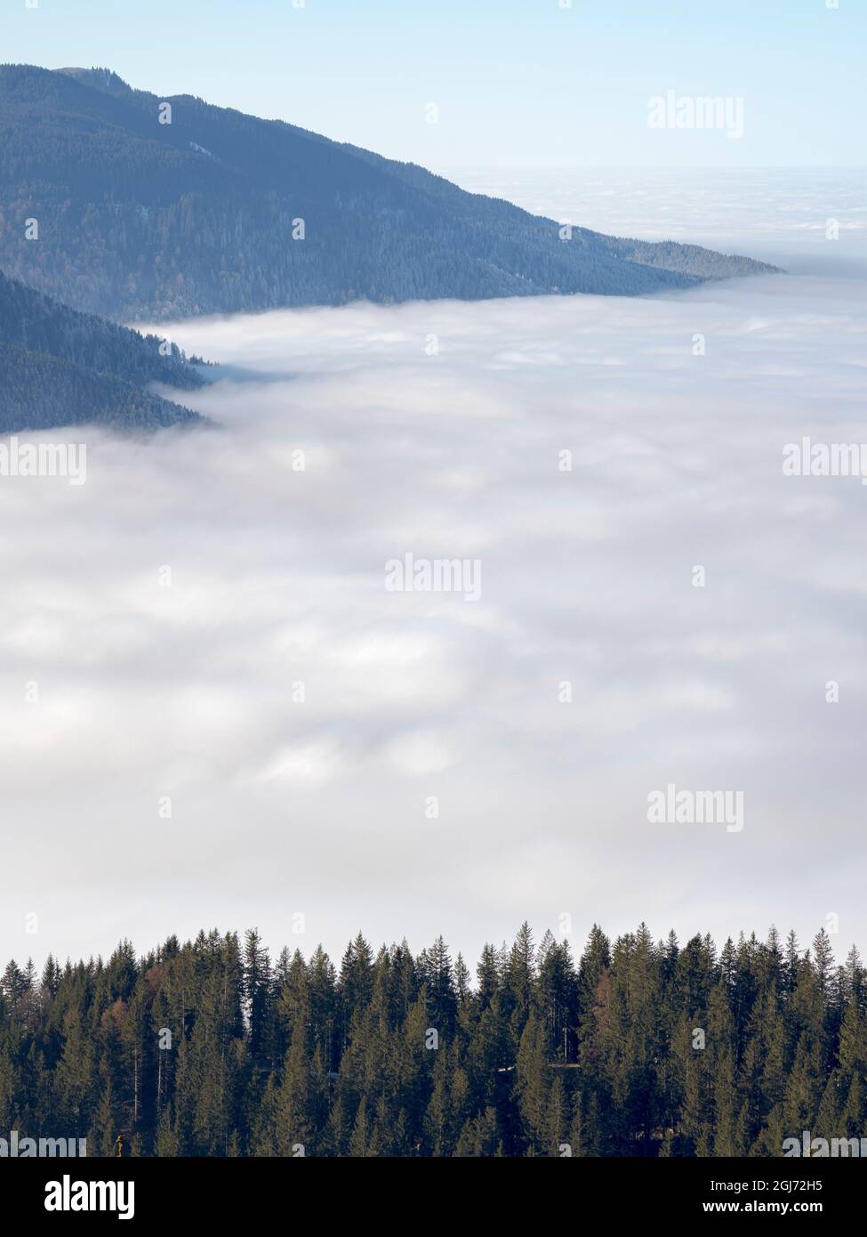 Vista dal Monte Hoernle su un mare di nebbia che nasconde i piedi delle Alpi Bavaresi. alpi Bavaresi nei pressi di Unterammergau nel Werdenfelser Land (Werden Foto Stock