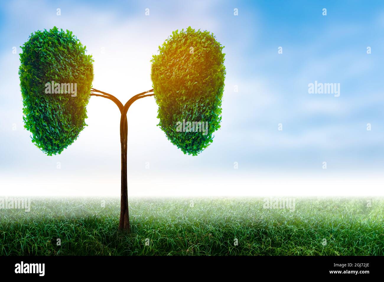 Illustrazione dell'albero polmonare (ambiente e medicina) Foto Stock