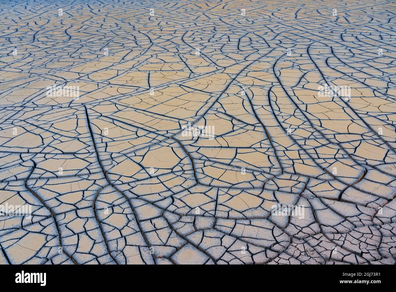 Islanda, Distretto del Lago Myvatn, Area geotermica di Hverir, fango. Modelli di fango che asciuga. Foto Stock