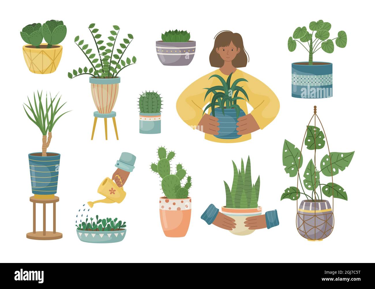 L'insieme delle piante di casa nei POTS. Piantando piante. Piante decorative all'interno della casa. Stile piatto. Illustrazione Vettoriale
