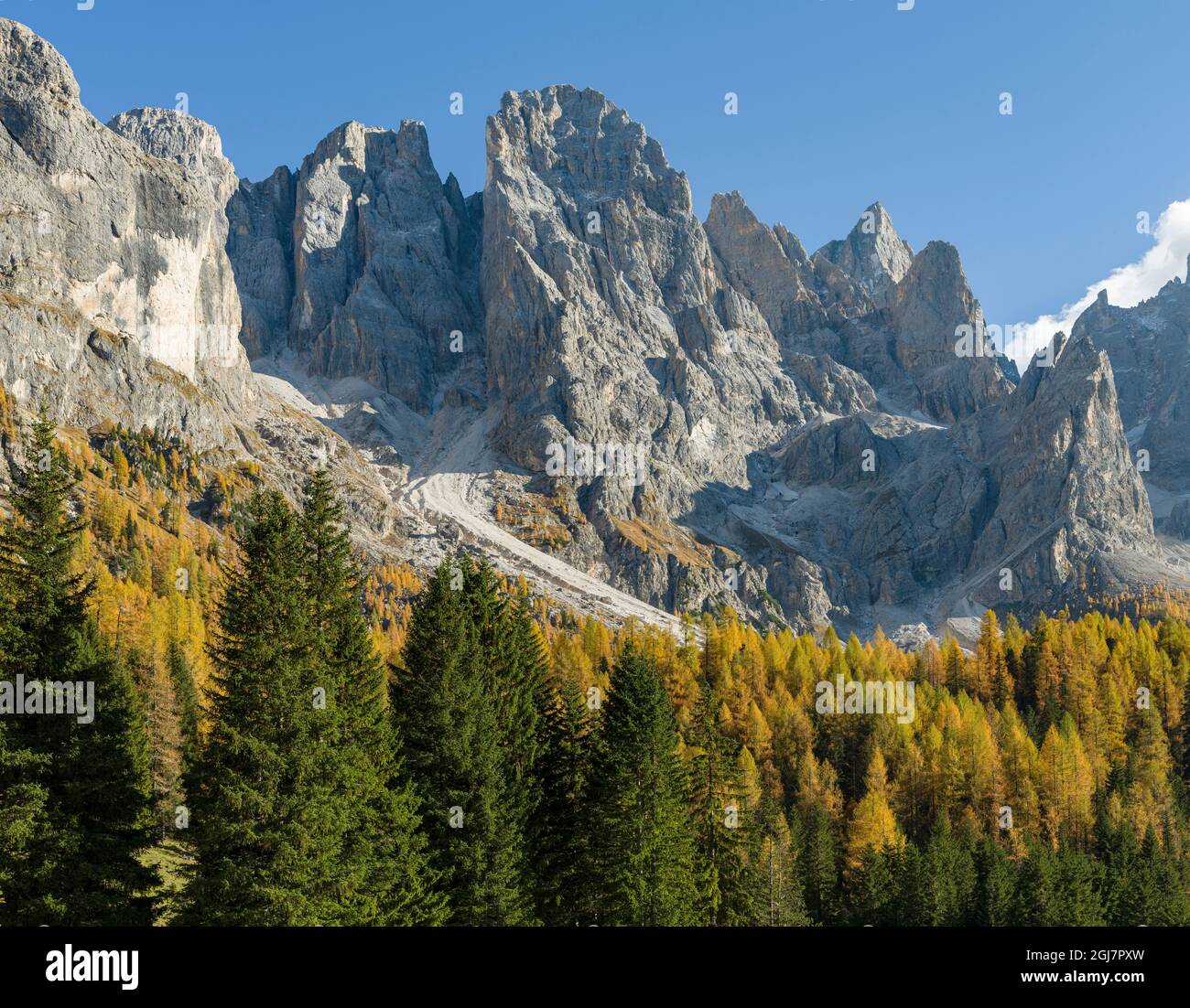 Cima dei Bureloni, cima della Vezzana. Cime che torreggiano sulla Val Venegia. Gruppo pala (pale di San Martino) nelle dolomiti del Trentino. Pala è Foto Stock