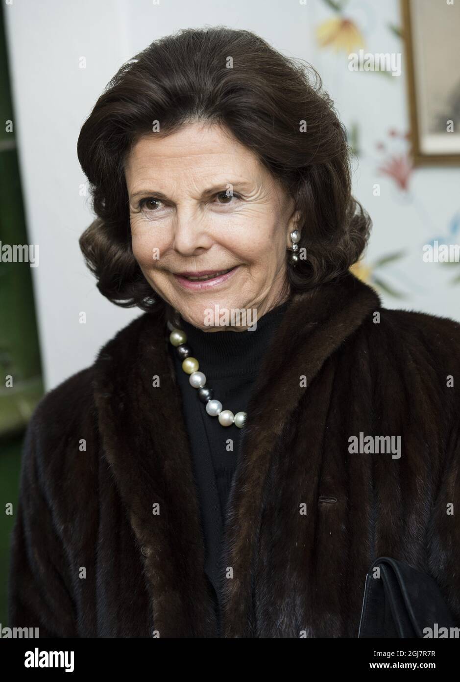 UPPSALA 20130313 Regina Silvia visto durante una visita guidata del Museo Linnaeus a Uppsala. Mercoledì è stato l'ultimo giorno della visita di stato della coppia presidenziale turca in Svezia. Foto: Pontus Lundahl / SCANPIX / kod 10050 Foto Stock