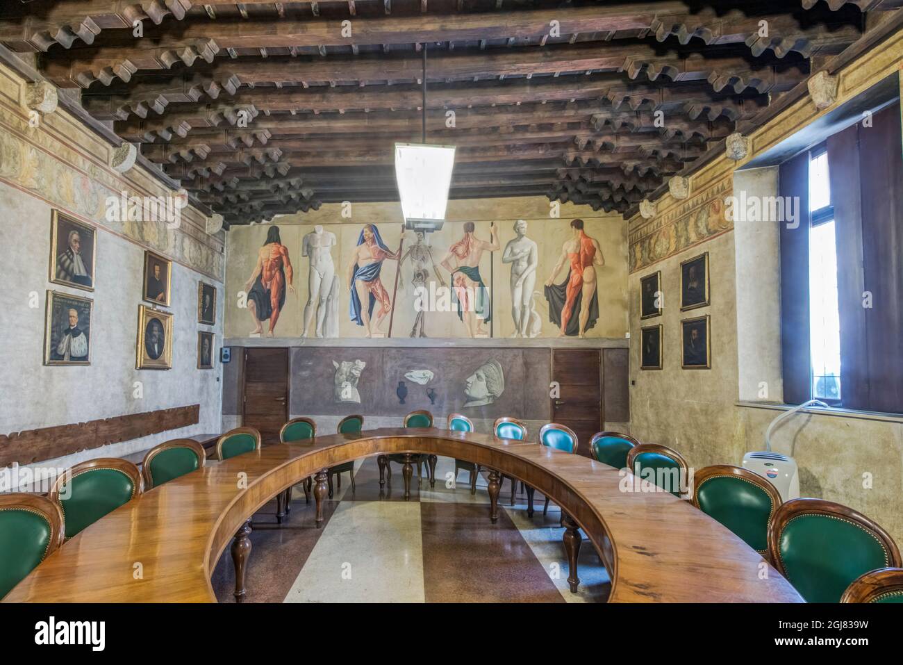 Italia, Padova, Padova Università fondata nel XIII secolo e la seconda università più antica d'Italia Foto Stock