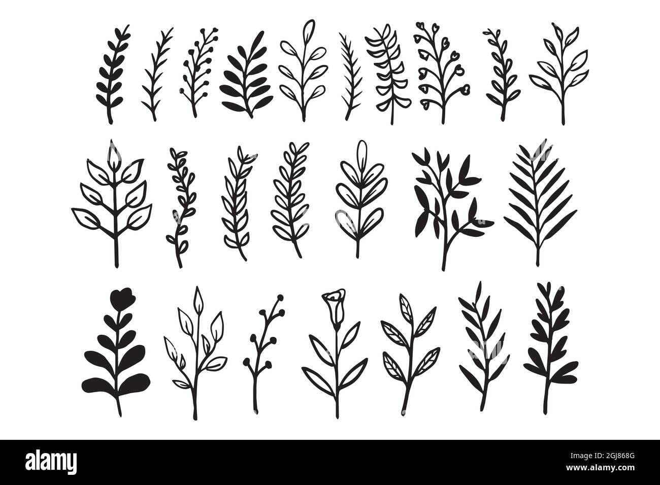 collezione di foglie e rami silhouette disegno vettoriale a mano Illustrazione Vettoriale