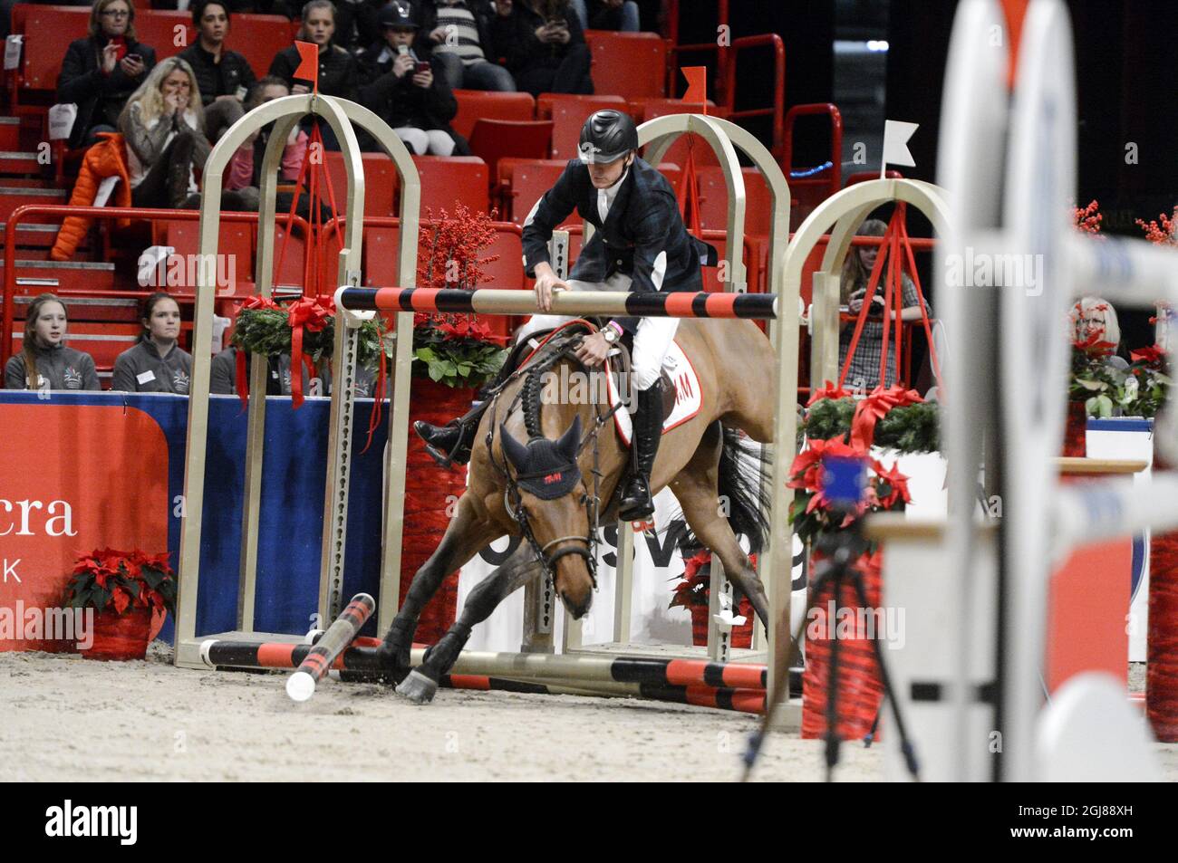 STOCCOLMA 2013-12-01 Peder Fredricson in Svezia cattura gli ostacoli mentre il suo cavallo H&M Cash in non salta durante l'evento di salto internazionale del Gran Premio di Stoccolma al Salone internazionale del cavallo di Stoccolma alla Globe Arena di Stoccolma, Svezia, il 30 novembre 2013. Foto Bertil Enevag Ericson / TT / codice 10000 Foto Stock