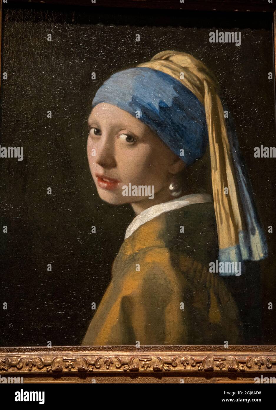 Europa, Paesi Bassi, l'Aia. L'iconico dipinto di Vermeer The Girl with the Pearl Earring. (Solo per uso editoriale) Foto Stock