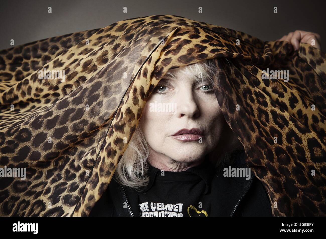 STOCKHOLM 2014-02-03 il cantante americano Debbie Harry della band punk rock Blondie. Foto: Pi Frisk / SVD / TT / Kod 30583 Foto Stock