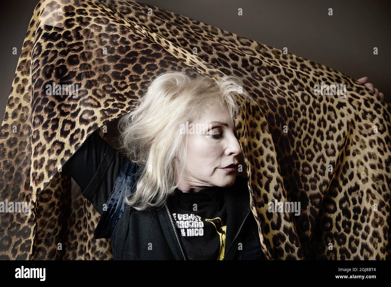 STOCKHOLM 2014-02-03 il cantante americano Debbie Harry della band punk rock Blondie. Foto: Pi Frisk / SVD / TT / Kod 30583 Foto Stock