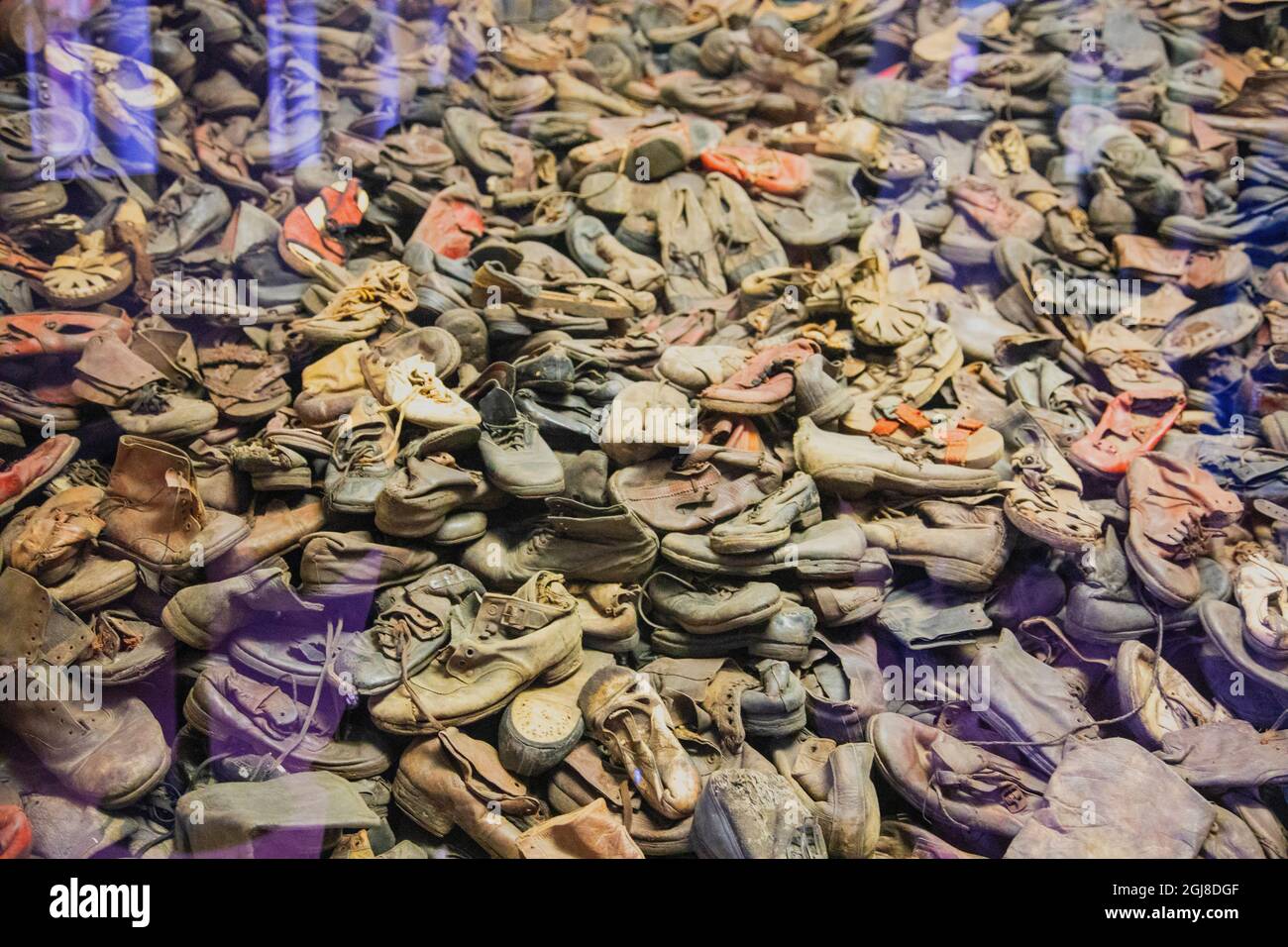 Mostra al Memoriale di Auschwitz-Birkenau e al museo in Polonia. Foto Stock